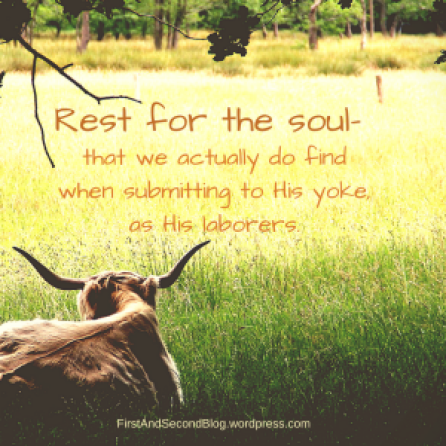 rest-for-the-soul-that-we-actually-do-find-when-submitting-to-his-yoke-as-his-laborers